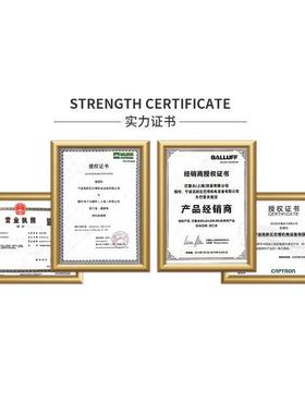 BALLUFF/巴鲁夫/BNS 819-FL-60-101-S80R/限位开关BNS0012/现货