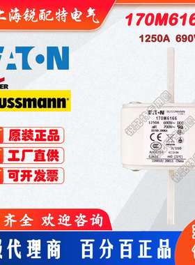 170M6166快速熔断器 690V 1250A 巴斯曼BUSSMANN快速熔断器