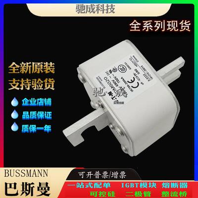 巴斯曼170M6020 170M6021 170M6028 厂家直供零售 高速熔断器