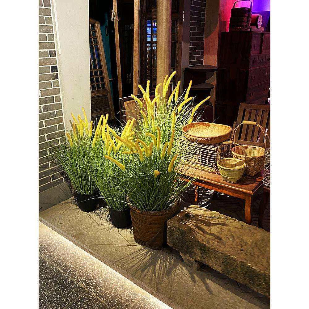 花舍网红款仿真蒲草丛狗尾草干景落地植物灌木芦苇景观橱窗小水草