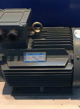 YE2-132M2-6  5.5KW IP55/F级 B3节能电动机 西安西玛电机