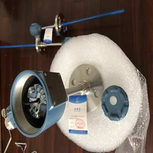 54A 直形管接头式 M20×1.5 防爆热电阻 NPT1 WZP