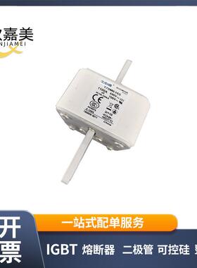 170M6165 170M6166 快速熔断器 保险丝 电子元器件 量大价优