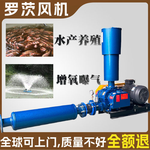罗茨风机厂家现货防爆多种型号水产养殖育苗孵化罗茨风机