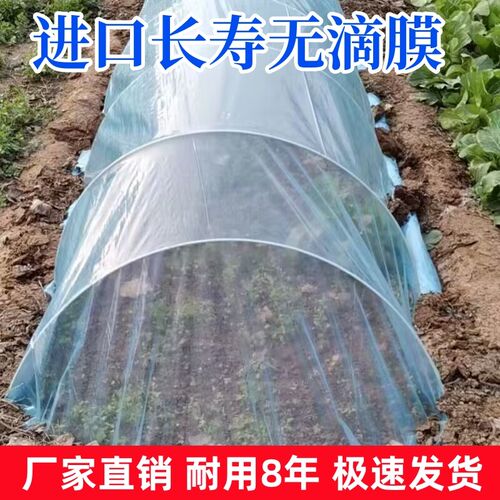 大棚塑料膜抗老化无滴膜透光膜F五层共挤消雾po膜加厚