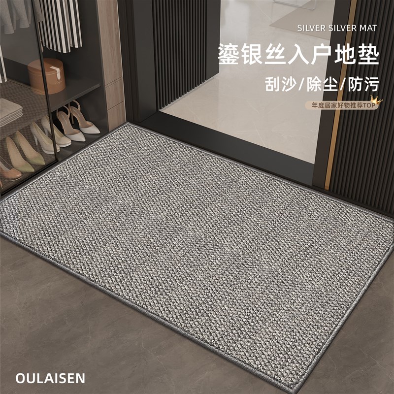 2025新款入户门地垫高级地毯现代简约门垫进门家用玄关客厅脚垫