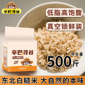 东北糙米1斤新米农家健身餐五谷杂粮粗粮胚芽糙米真空包装 粗粮