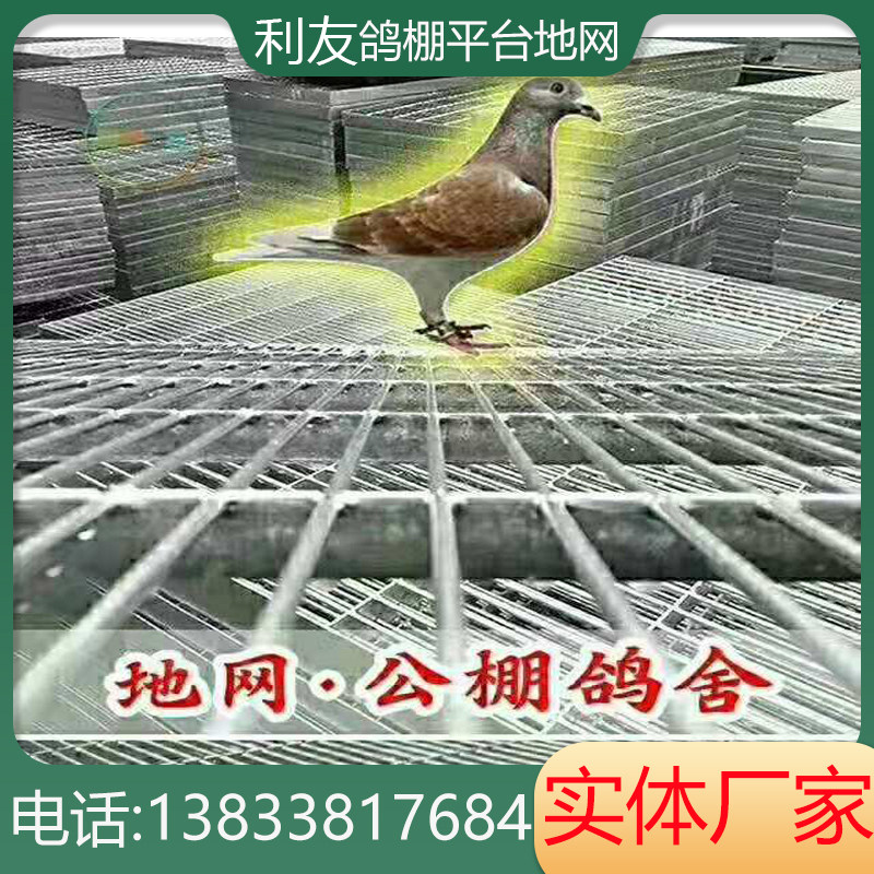 厂家生产热镀锌公棚地网鸽舍漏粪网鸽棚养殖网扁S铁地网浸塑钢格