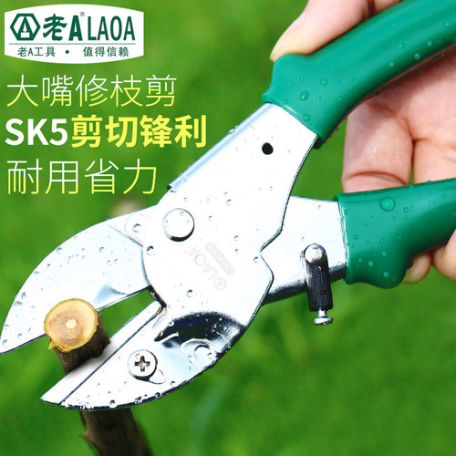 老A园艺剪刀8寸树枝剪刀果枝剪园林剪刀修P花剪刀修枝摘果剪刀
