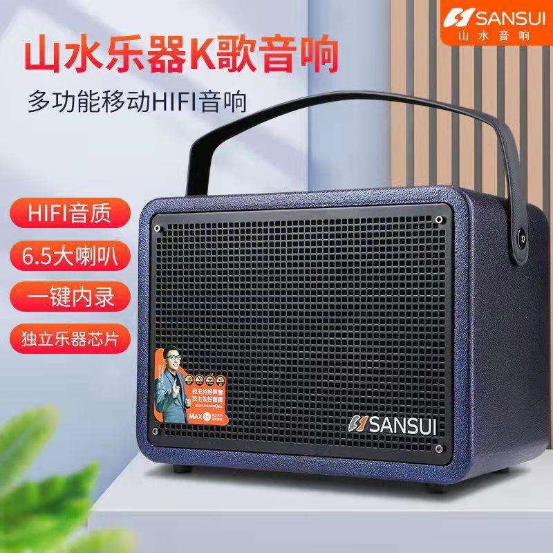 山水 SS906 户外K歌广场舞音箱便携式伴奏手提音响 双话筒