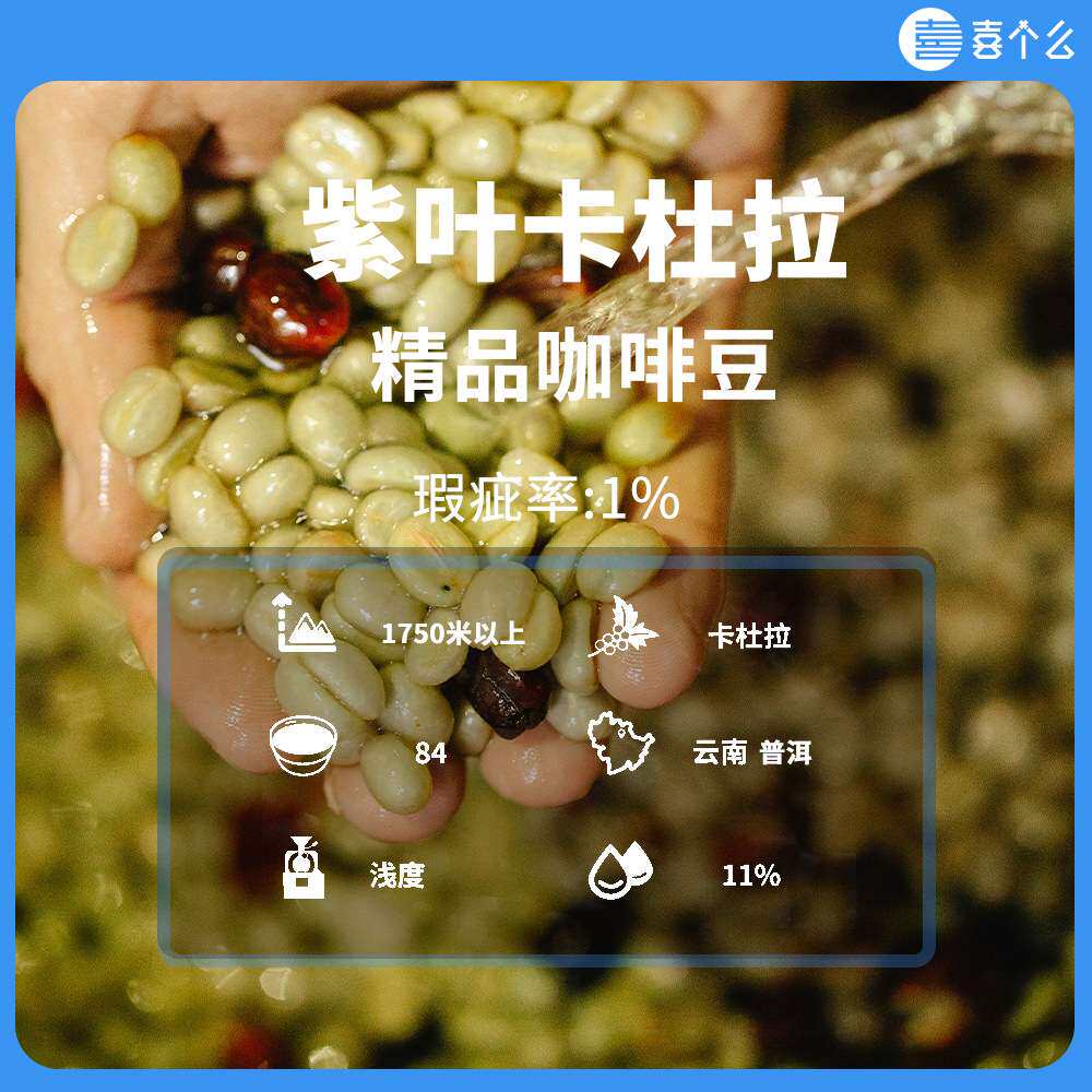 云南精品小粒咖啡单品咖啡豆普洱卡杜拉水洗浅烘源头工厂1公斤