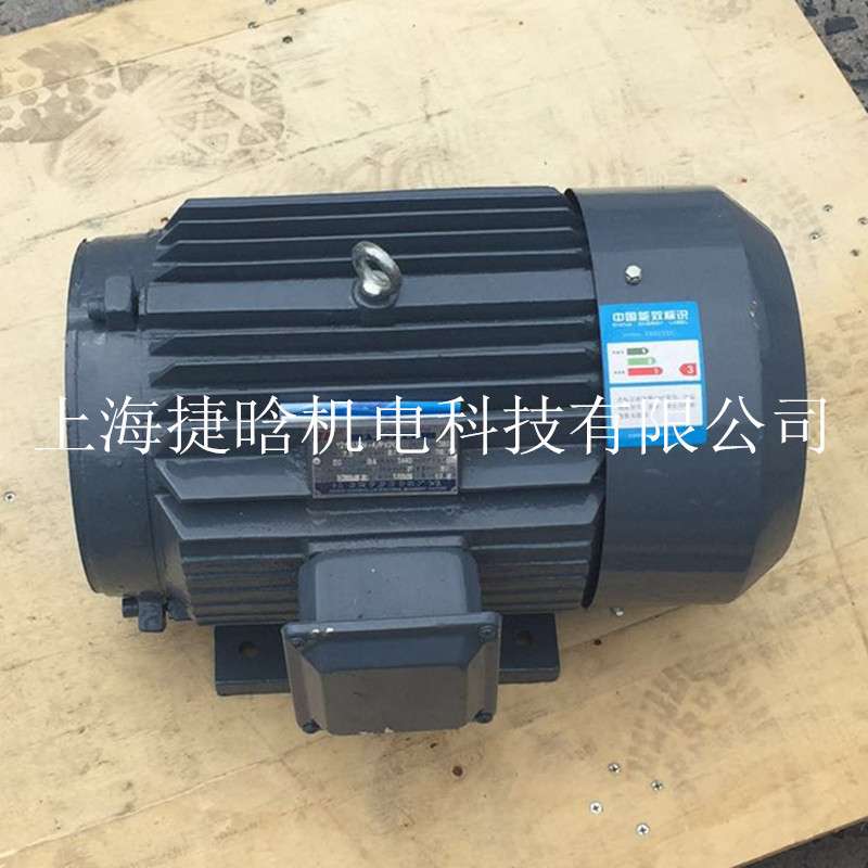 SV10-7-Y112M-4 4KW SDV10-1B7B-1C 油泵电机组 液压三相异步电机