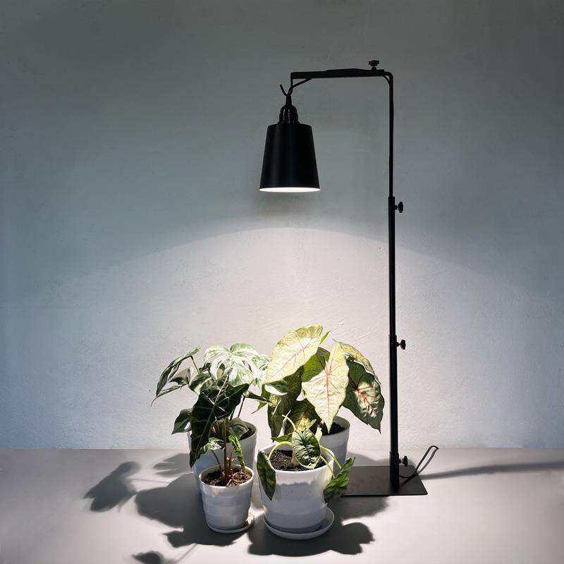 植物补光灯支架立式块根植物架子桌面绿植龟甲龙龙舌兰造景爬虫架