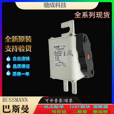 巴斯曼170M5961 170M5966 170M5967 加工制作量大价优 快速熔断器