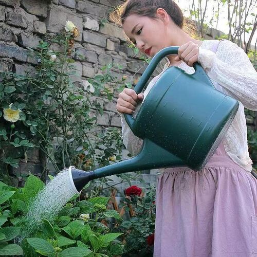 大容量洒水壶长嘴家用浇花壶园艺养花浇菜大号浇水壶塑料花洒喷壶