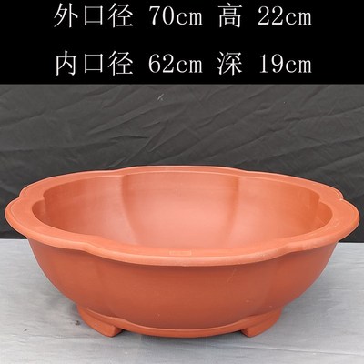 宜兴紫砂大号浅圆形70公分莲花盆对接白蜡树桩盆景盆三角枫专用盆