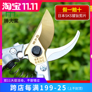 家用粗枝剪修枝剪修花剪园艺剪刀园林果树修剪树枝剪刀花剪工具