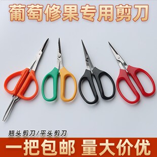 葡萄修果专用剪刀翘头疏果稀果剪花椒园艺蔬果剪小剪刀摘果修枝剪