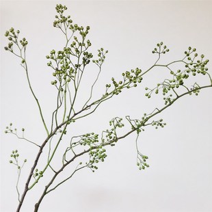 山归来鲜切花小众稀有精品花材家庭瓶插花艺婚庆节日比赛装饰果子