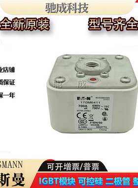 巴斯曼170M6482 170M6483 170M6484  低压保险丝诚信经营货源充足