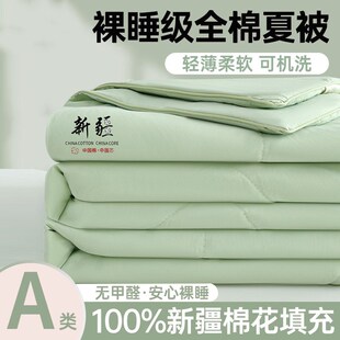 全棉夏凉被空调被子可机洗夏天2y025新款 宿舍单人棉花薄夏被子被