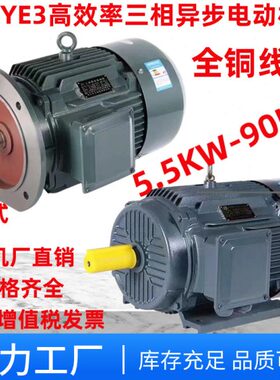 三相异步电动机千345瓦v11.30/37变频018/75/w5522/3809k5Y/15E/