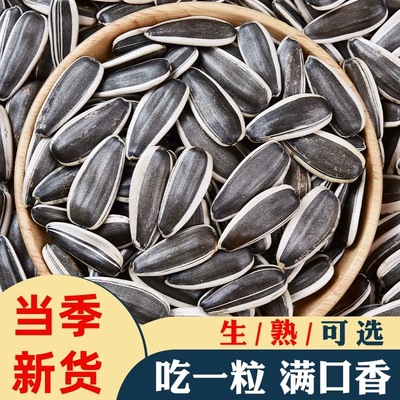 【特大颗粒】内蒙古新货瓜子葵花籽特价瓜子原味炒熟炒货散装批发