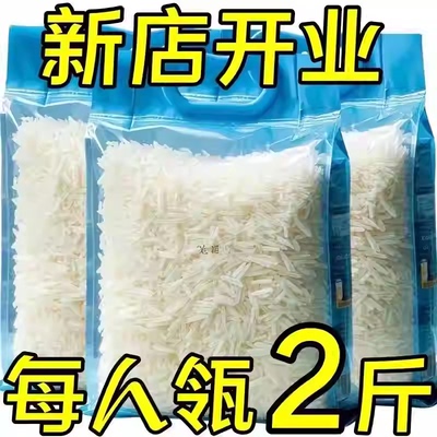 【特价】正宗长粒丝苗米晚稻新米优质农家大米清仓现磨现发猫牙米
