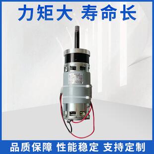 G60微型减速电机打破机打豆机直流减速电机小家电低速大力矩马达