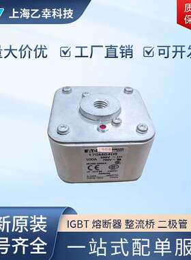 巴斯曼熔断器  170M6408 170M6409 170M6410 170M6411 170M6412
