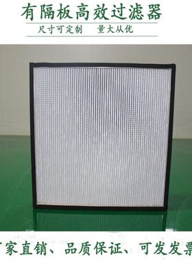 洁高效净化空气高效过滤器过滤器玻璃净滤芯纤维HA车间过滤网EP