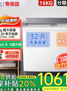 小天鹅洗衣机半自动16KG超大容量租房家用波轮双桶双缸TP16S158
