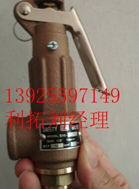 进口台湾SS安全阀溢流阀压力罐锅炉A蒸汽弹簧式317泄压阀4分DN15
