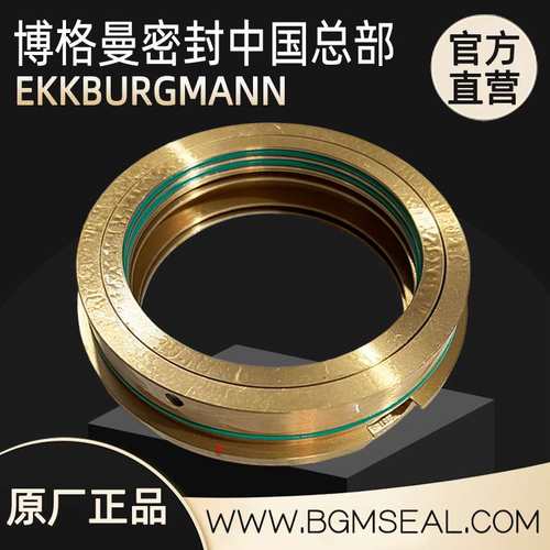 HZB253-640A-02-01-00电厂锅炉给水泵/上海能源装备泵用油挡油封