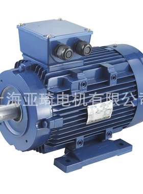 3-PHASE INDUCTION MOTOR 三相异步铝壳电动机 微型电动机