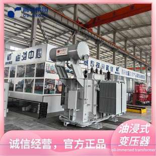 400 500 630KVA油浸式 S22系列 青电变压器厂 变压器S20 S13