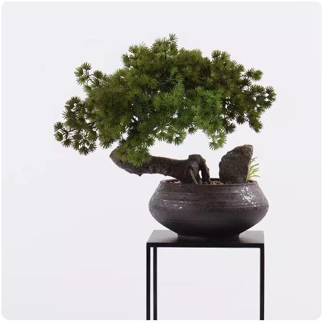 新中式迎客松树盆景摆件茶桌枯山水博古架玄关装饰品绿植案台盆栽