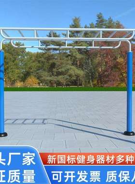 厂家供应广场公园云梯室外健身器材户外小区体育运动器械天梯平梯