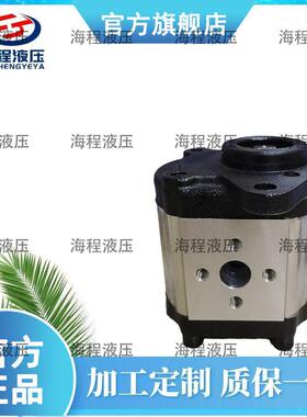 厂家直销CBN-F314L齿轮泵液压泵