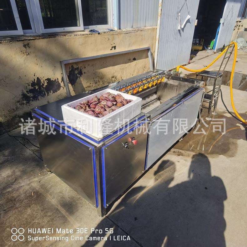 多功能毛刷清洗机 扇贝牡蛎清洗泥沙机 野蒜大蒜清洗机