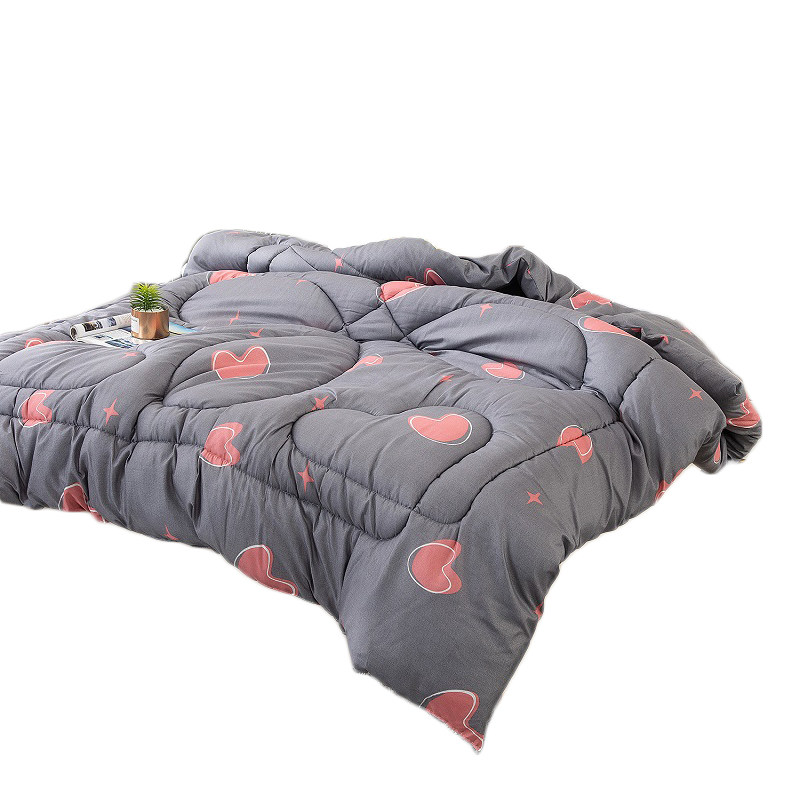 2022款被子冬被夏凉被双人薄春秋被芯单K人学生宿舍棉被褥太空调