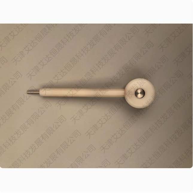 天津艾达恒晟 可换片电极夹 JJ210样片支持体 原厂直接发货