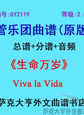 Vi级)(乐G团合奏总d岁 Vi命 分21a管+谱万19谱Yla生va2.0