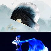 黑白真丝舞蹈扇扇子书扇舞孤月杳然水墨古典舞色双面扇子简初见