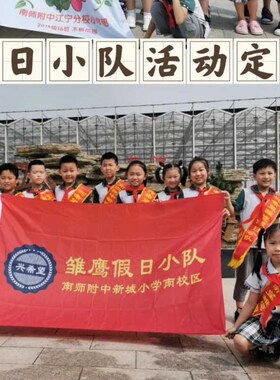 雏鹰假日小e队队旗帜夏令营暑假暑期红色文化教育小学生手摇旗定