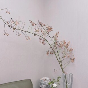 山归来蔷薇果鲜切花水培装饰插花客厅办公室内T绿植直发可做干花