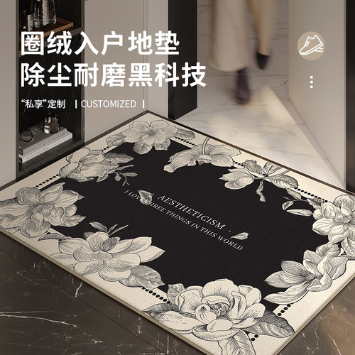 入户门地垫2024新款进门门口脚垫防滑耐磨免洗地毯玄关Z耐脏脚垫