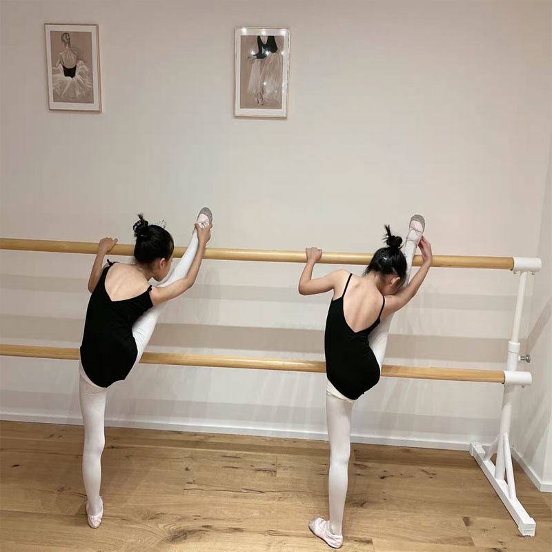 双层移动舞d蹈把杆落地可携式压腿杆舞蹈房芭蕾瑜伽练功舞蹈扶手