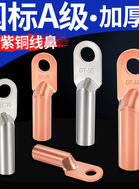 国标DT铜鼻子接线端子紫铜p线耳10/16/25/35/70/95/150/185平方