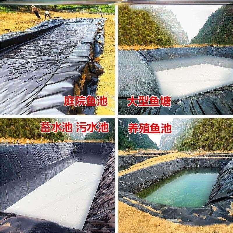鱼塘防渗膜鱼池防水地膜水产养殖B膜布蓄水池防漏膜土工膜黑色塑